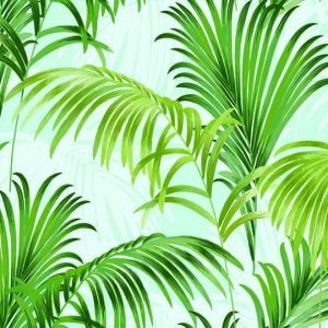 GIẤY DÁN TƯỜNG CAO CẤP 12