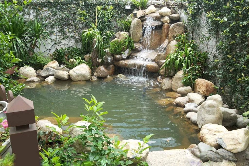 tiểu cảnh sân vườn 