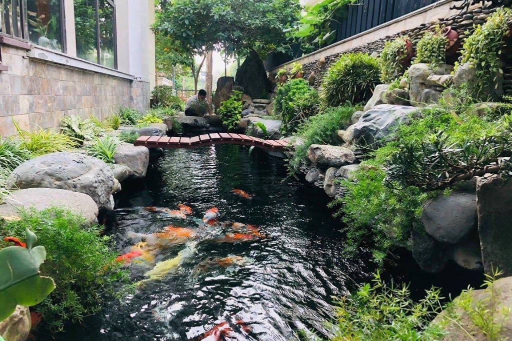 mẫu tiểu cảnh sân vườn đẹp 